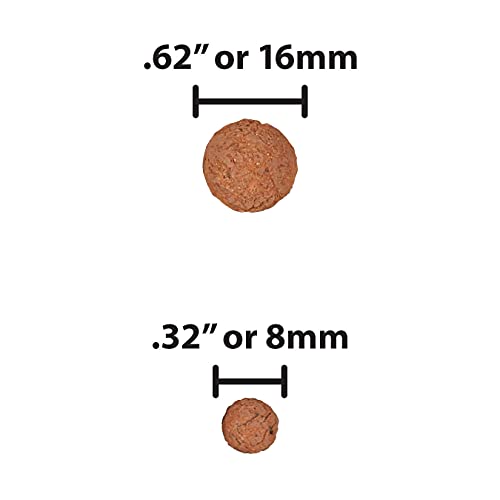 Mother Earth Hydroton Original Clay Pebbles - 10 Liter, Lightweight Expanded Clay Aggregate