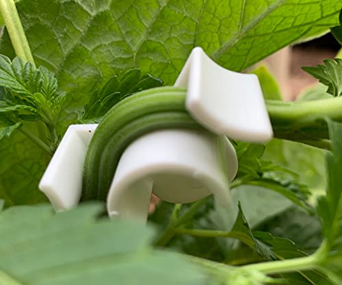 AirTech Home Automation LSTclips Low Stress Training Clips, LST Plant Bud Bender Made in Calif USA, Medium, Green, Pack of 30