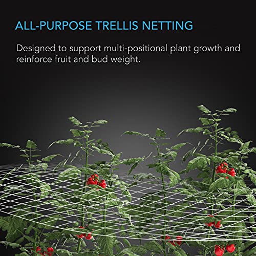 AC Infinity Polyester Plant Trellis Netting 5x15’, Heavy-Duty Scrog Net, Hydroponics Grow Net for Grow Tents, Gardening, and Horticulture