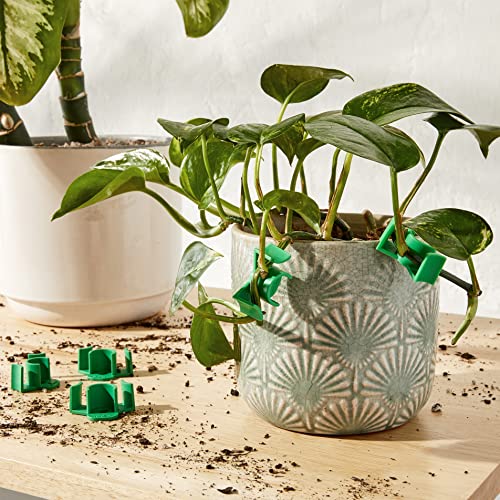 AirTech Home Automation LSTclips Low Stress Training Clips, LST Plant Bud Bender Made in Calif USA, Medium, Green, Pack of 30