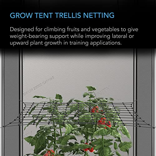 AC Infinity Grow Tent Trellis Netting 2x4', Heavy-Duty Elastic Plant Net with Steel Hooks, Flexible Hydroponics Support for Grow Tents, Gardening, and Horticulture