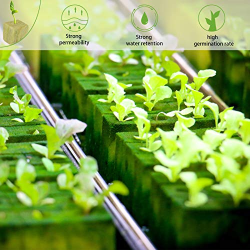Halatool 1 Inch Garden Rockwool Stonewool Rockwool Grow Cubes Starter Plugs for Soilless Cultivation Clone Plants Hydroponics Germination Start (4 Sheets)