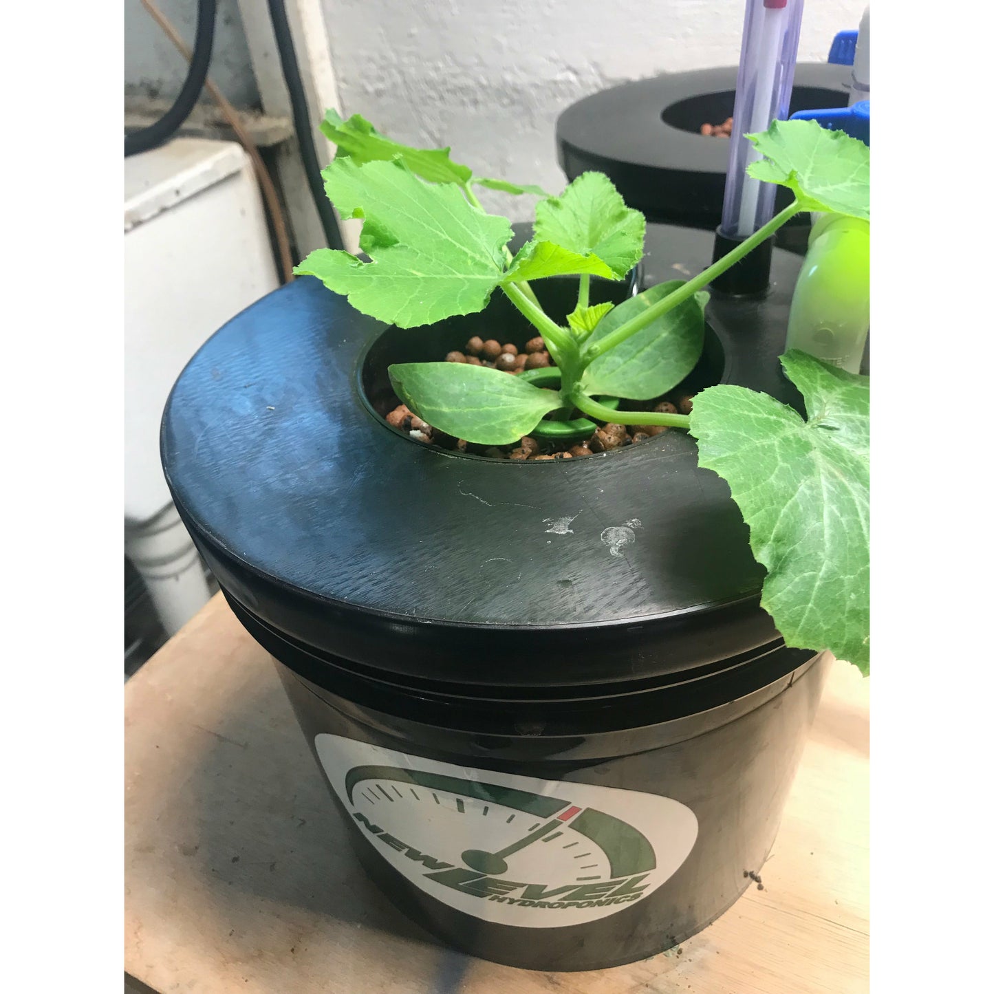 2 BUCKET DWC VENTURI DRIP SYSTEM - 5 gallon (with pump guard)