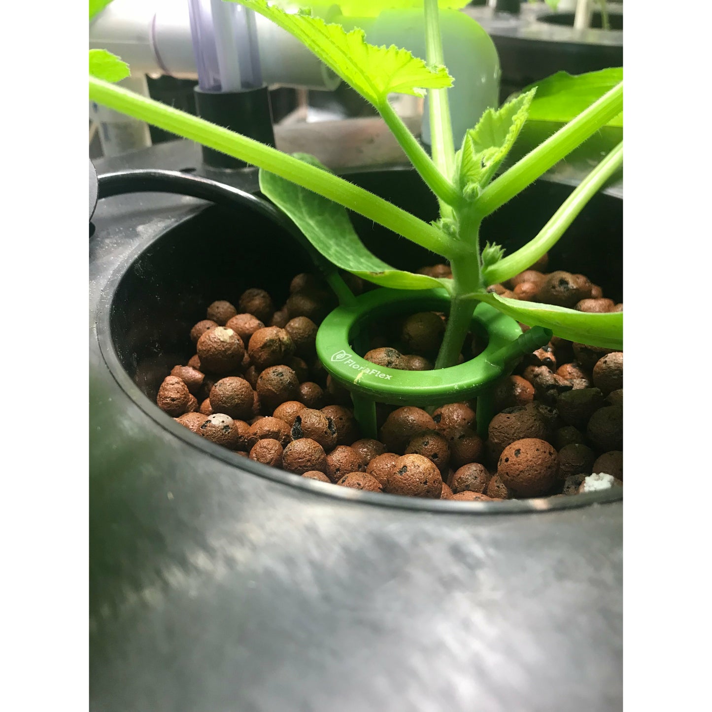 2 BUCKET DWC VENTURI DRIP SYSTEM - 5 gallon (with pump guard)