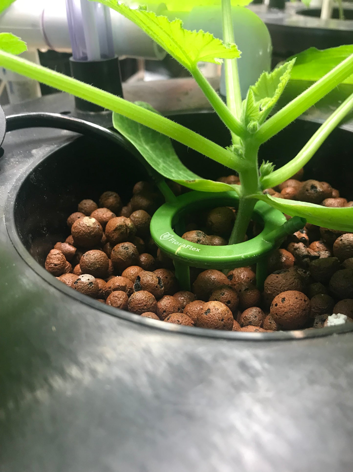 DWC VENTURI DRIP BUCKET  w/ pump guard - SINGLE 5 GALLON