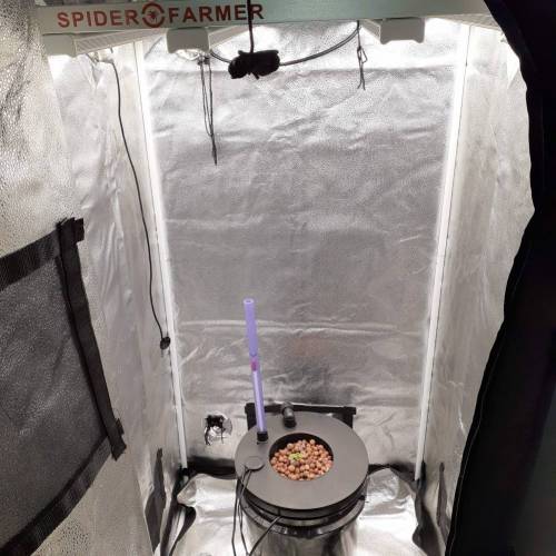 HYDROPONIC DWC - Bucket basket lid with built in water level meter 3.5 and 5 gallon versions