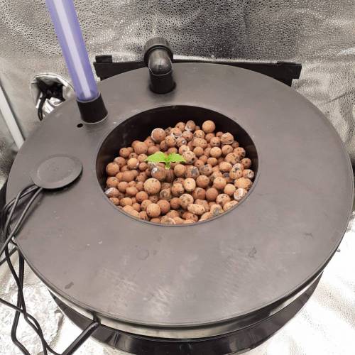 2 Site DWC Bucket and Grow Lid combo set 3.5 gallon