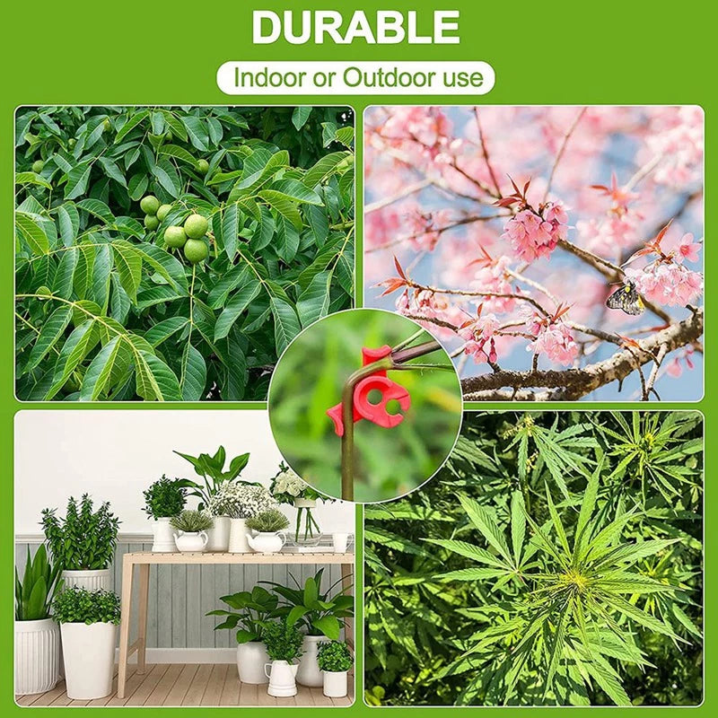 Low Stress Trainers - pack of 20