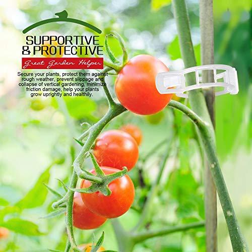 Fandamei 300 PCS Plastic Garden Plant Support Clips, Tomato Clips, Plant Ties, Trellis Clips, for Tomato Cucumber Flower Squash Vine, 1” Inner Diameter