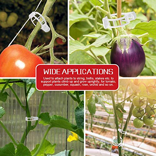 plastic plant support clips Fandamei 300 PCS Plastic Garden Plant Support Clips, Tomato Clips, Pla – New Level Hydroponics