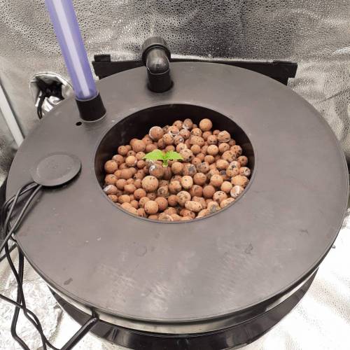 HYDROPONIC DWC - bucket basket lid with built in water level meter 3.5 and 5 gallon versions
